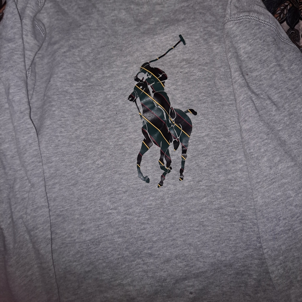 Polo by Ralph Lauren Gray Kids Sweatshirt